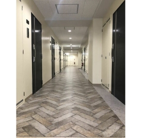 11/25 その他画像