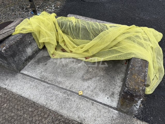 20/27 その他画像