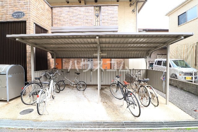 20/30 その他画像