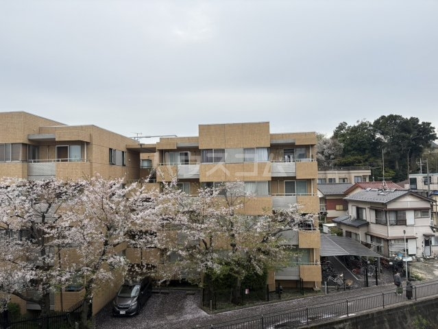 22/29 その他画像