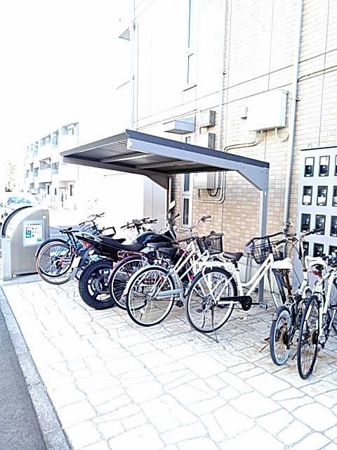 20/30 その他画像