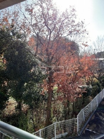 17/29 その他画像