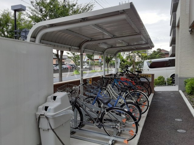 5/17 その他画像