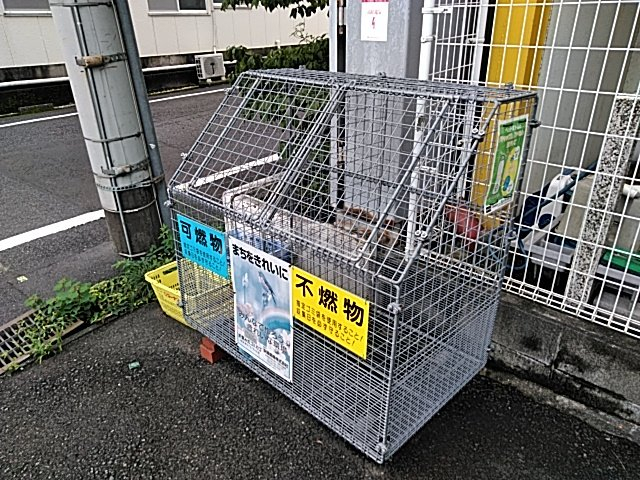 20/30 その他画像