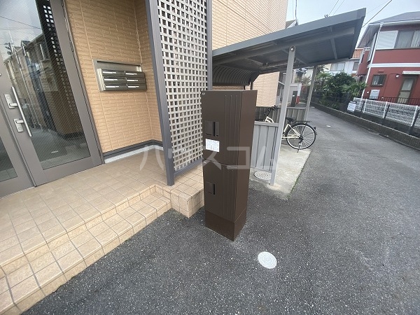 25/30 その他画像