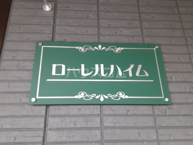 26/29 周辺