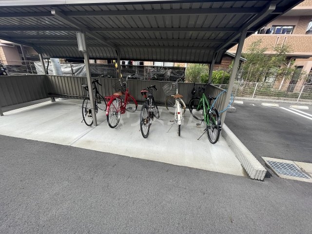 5/17 その他画像