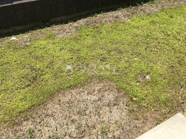 16/19 その他画像