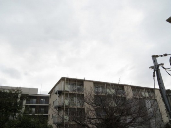 16/29 その他画像