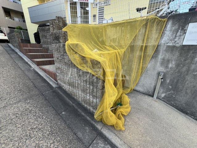 13/21 その他画像