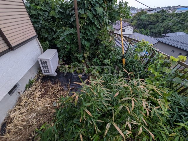 16/22 その他画像