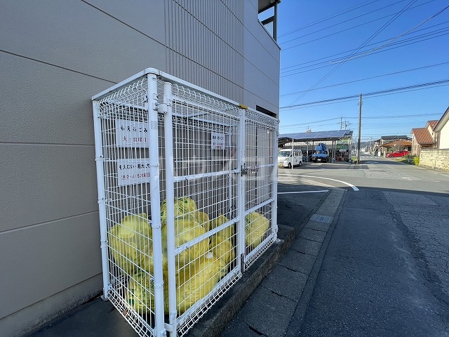 19/22 その他画像