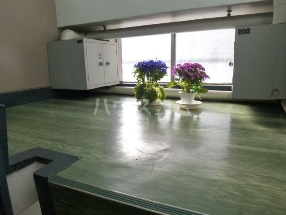 14/19 その他画像