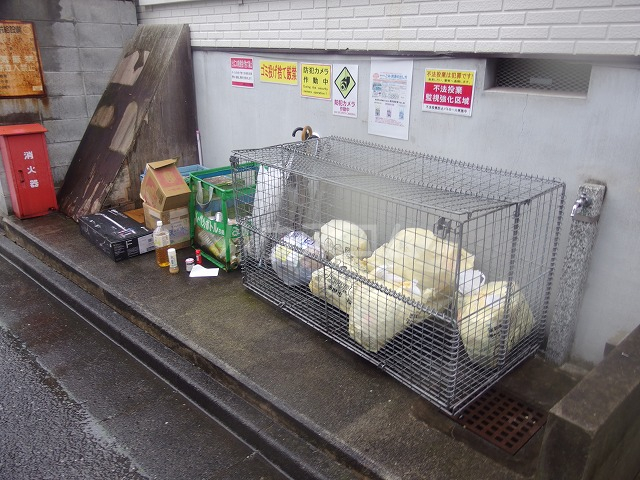 19/28 その他画像