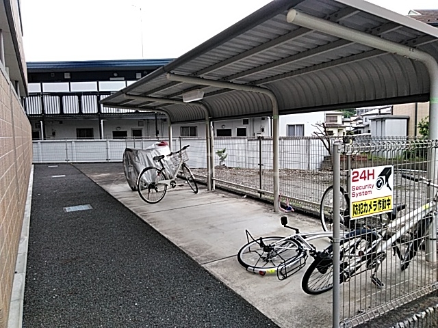 20/30 その他画像