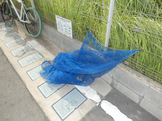 19/28 その他画像