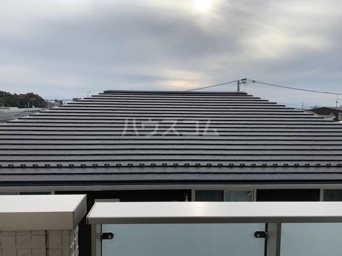 11/26 その他画像