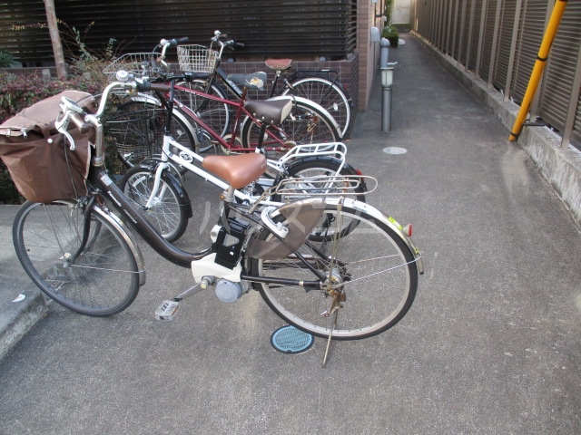 19/25 その他画像