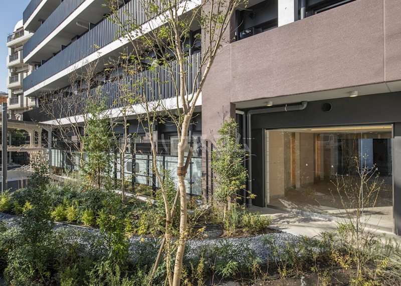 12/17 その他画像