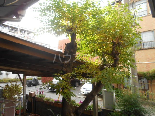 21/30 その他画像