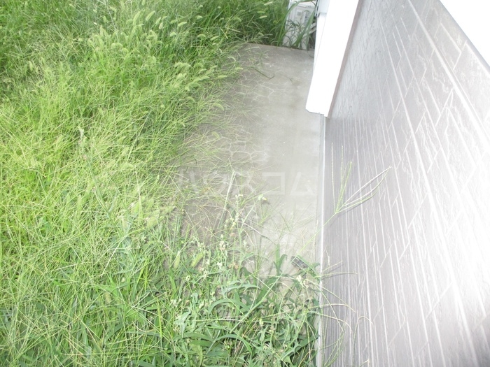 14/15 その他画像