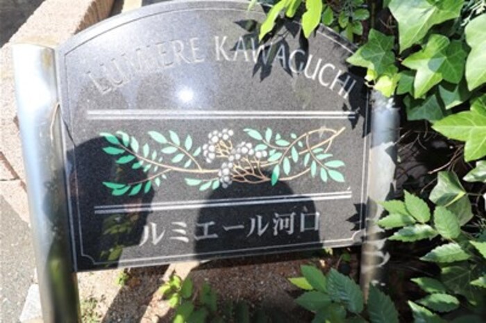 17/20 その他画像