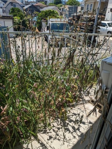 17/27 その他画像