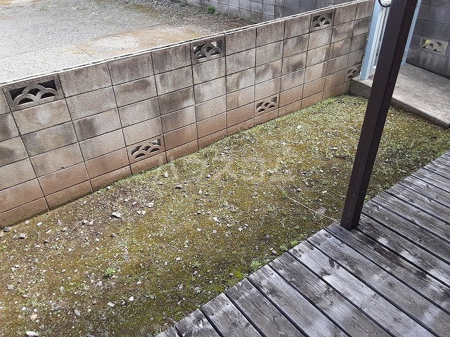 15/18 その他画像