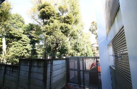 15/26 その他画像