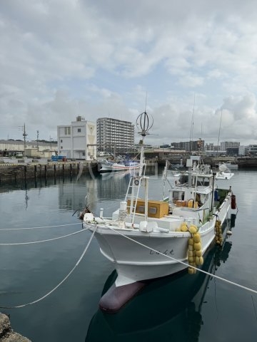 13/14 その他画像