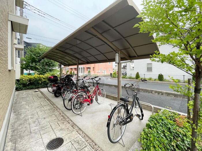 3/16 その他画像