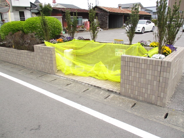 20/30 その他画像