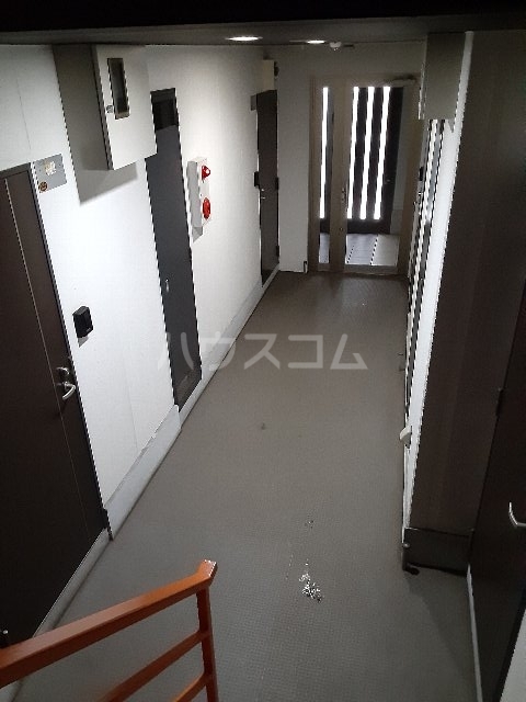 3/19 その他画像