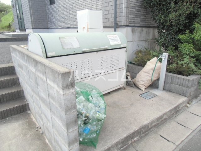 17/25 その他画像