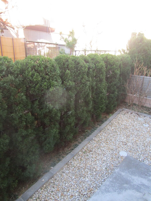 12/18 その他画像