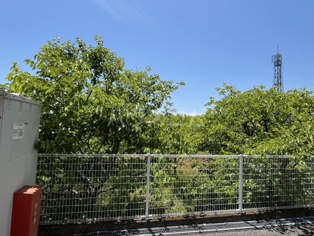 22/25 その他画像