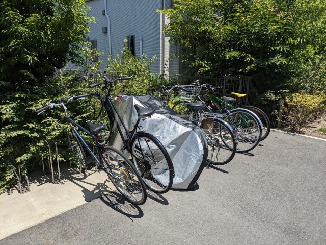 その他画像