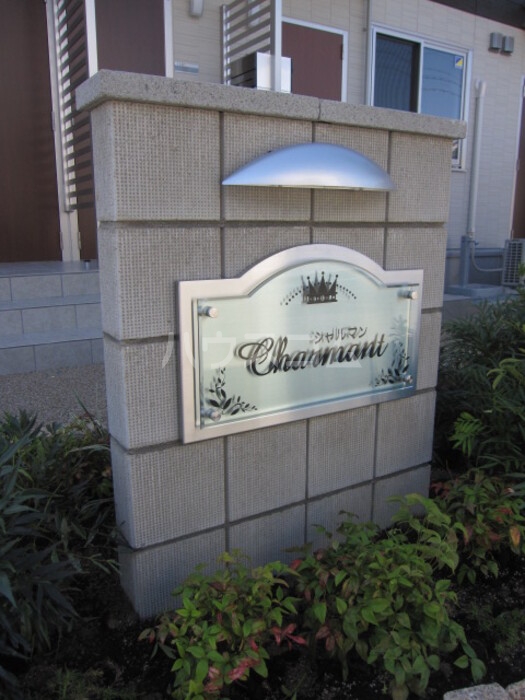 15/29 その他画像