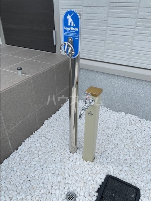 5/17 その他画像