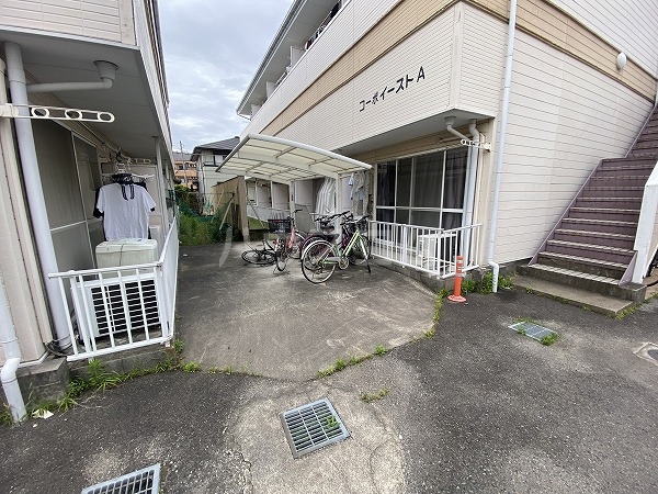 20/30 その他画像