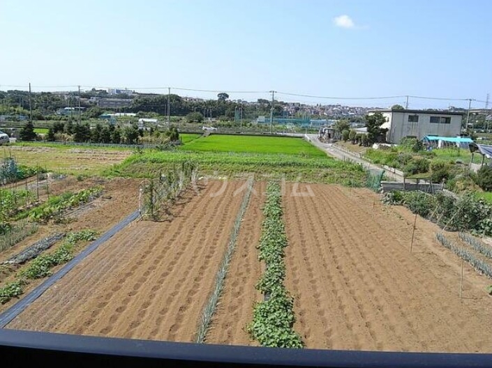 16/22 その他画像