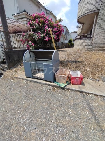 20/30 その他画像