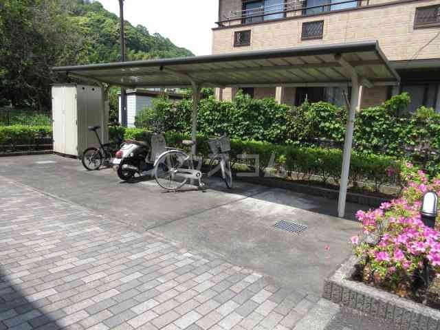 11/15 その他画像