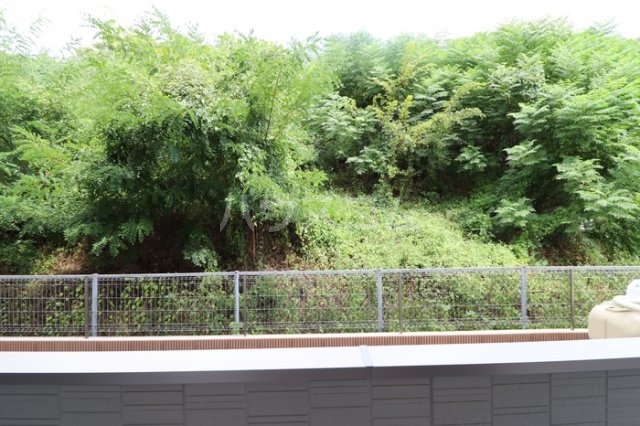 15/24 その他画像