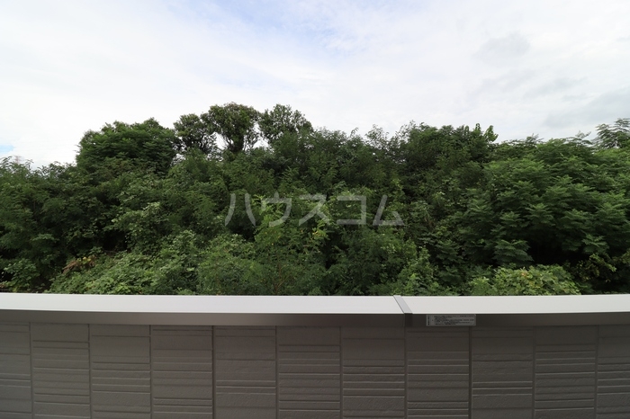 15/24 その他画像