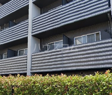 11/25 バルコニー