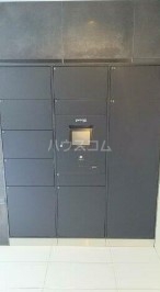 17/25 その他画像