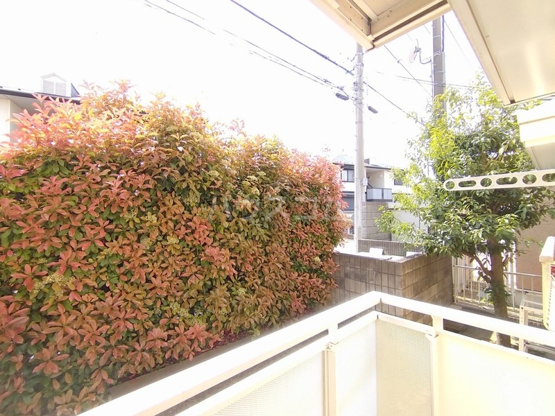 15/17 その他画像