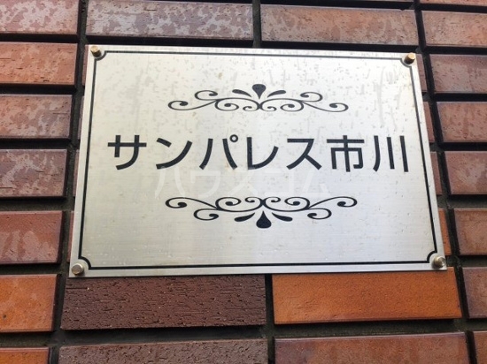 15/29 その他画像