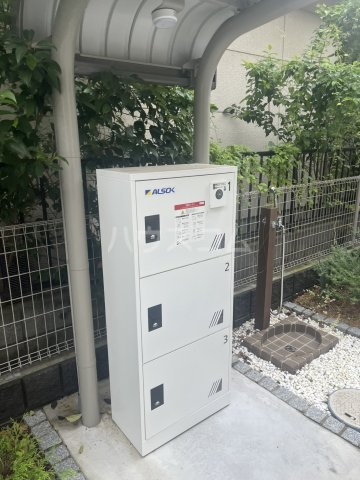 20/30 その他画像